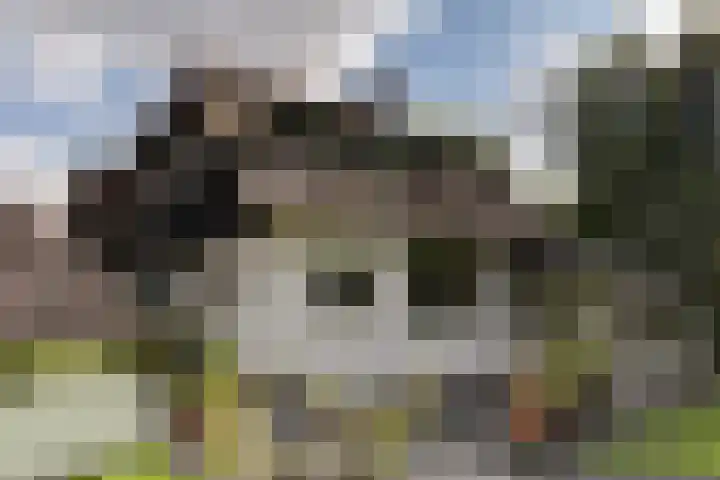Teding van Berkhoutlaan 45 Aerdenhout thumbnail 5