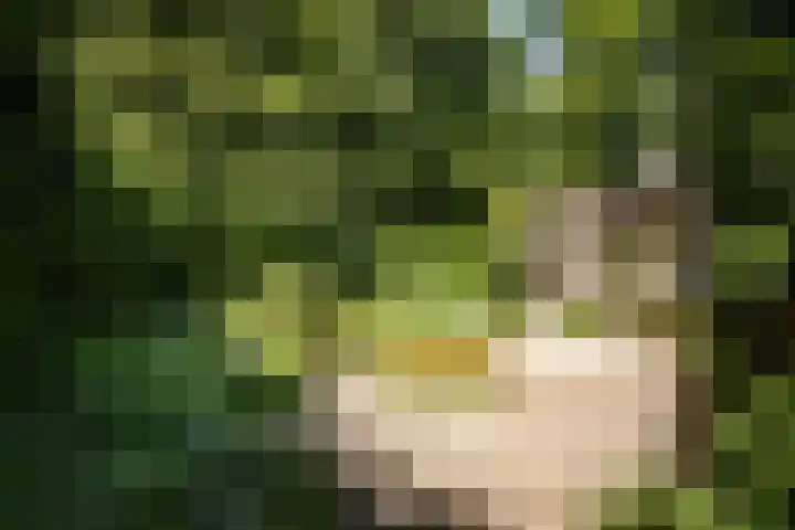 Teding van Berkhoutlaan 51 Aerdenhout thumbnail 17