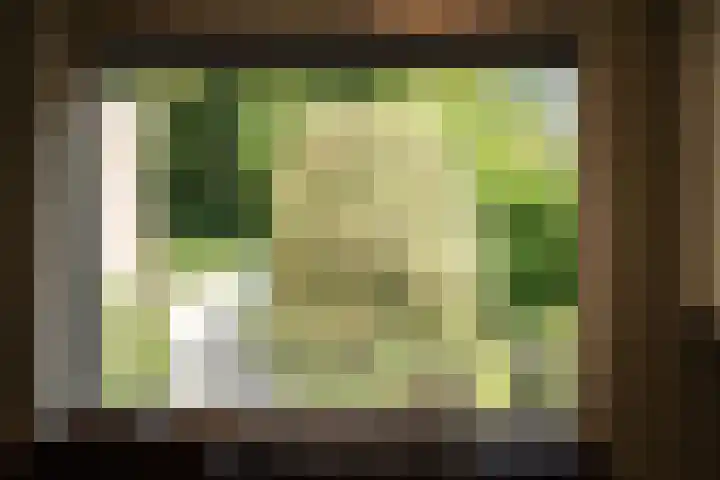 Teding van Berkhoutlaan 51 Aerdenhout thumbnail 23