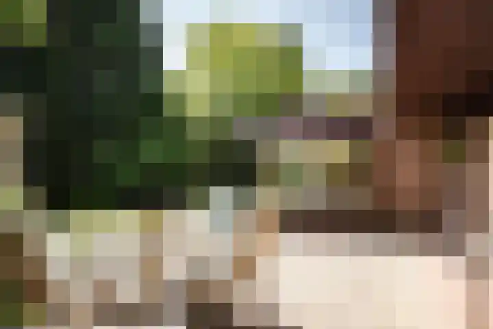 Teding van Berkhoutlaan 51 Aerdenhout thumbnail 27