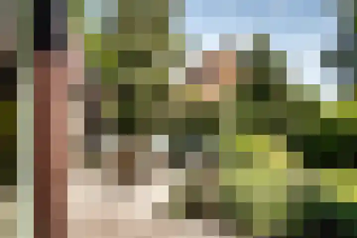 Teding van Berkhoutlaan 51 Aerdenhout thumbnail 28