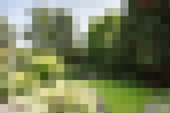 Teding van Berkhoutlaan 51 Aerdenhout thumbnail 29