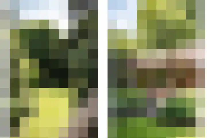 Teding van Berkhoutlaan 51 Aerdenhout thumbnail 30