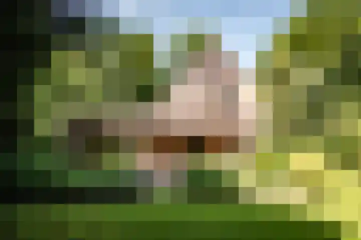 Teding van Berkhoutlaan 51 Aerdenhout thumbnail 31