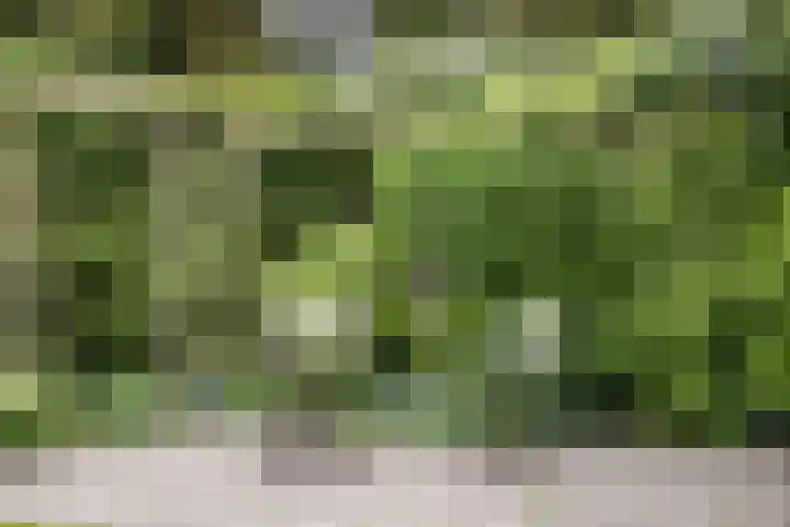 Teding van Berkhoutlaan 51 Aerdenhout thumbnail 32