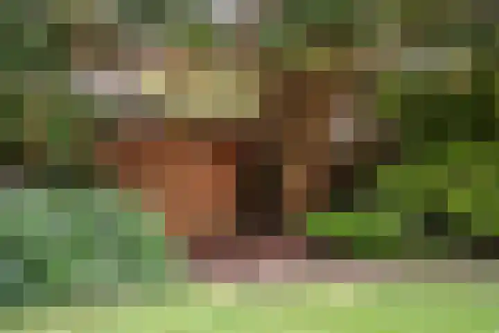 Teding van Berkhoutlaan 51 Aerdenhout thumbnail 33