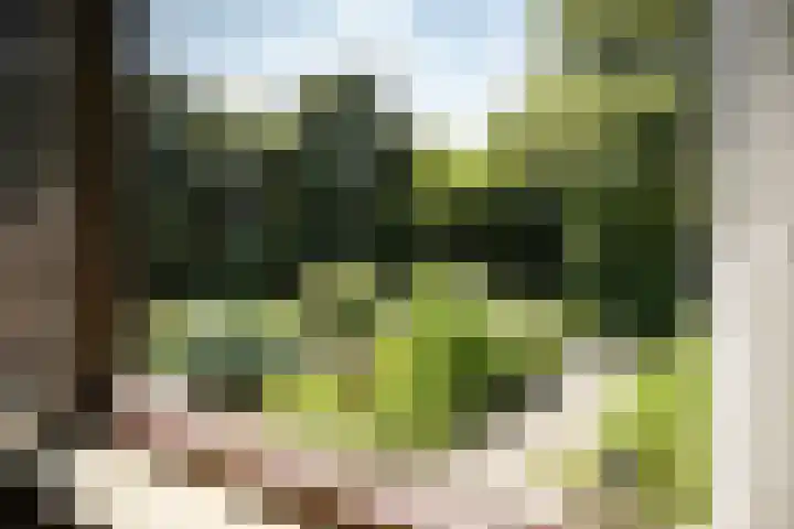 Teding van Berkhoutlaan 51 Aerdenhout thumbnail 35