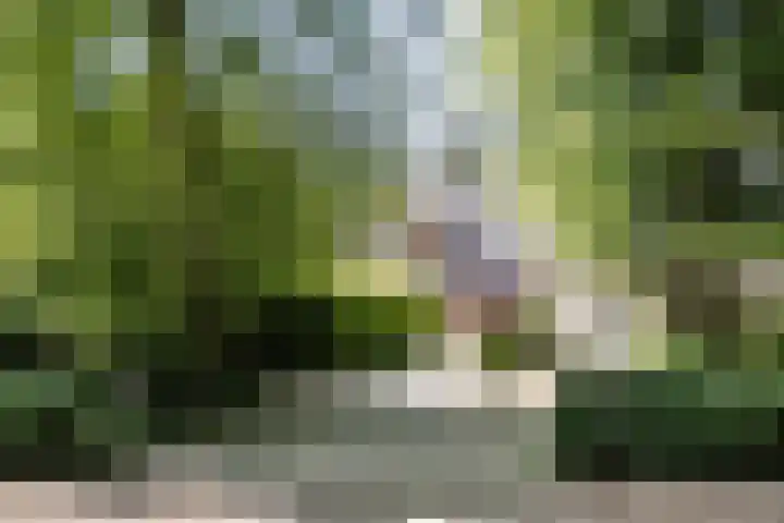Teding van Berkhoutlaan 51 Aerdenhout thumbnail 4