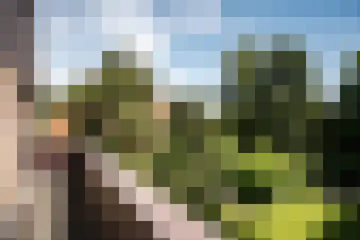 Teding van Berkhoutlaan 51 Aerdenhout thumbnail 46