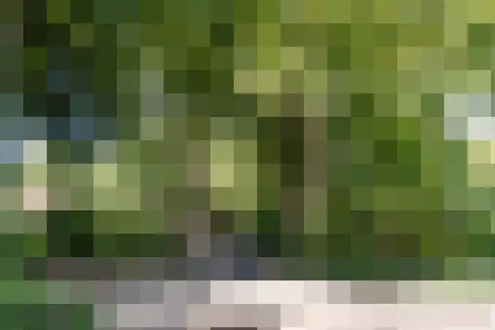 Teding van Berkhoutlaan 51 Aerdenhout thumbnail 54
