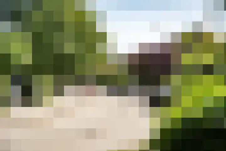 Teding van Berkhoutlaan 51 Aerdenhout thumbnail 55