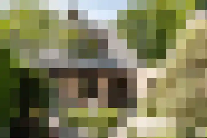 Teding van Berkhoutlaan 51 Aerdenhout thumbnail 6
