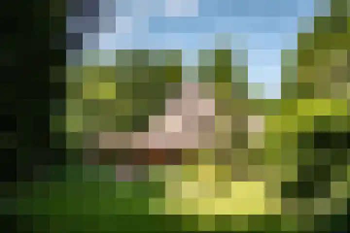 Teding van Berkhoutlaan 51 Aerdenhout thumbnail 60