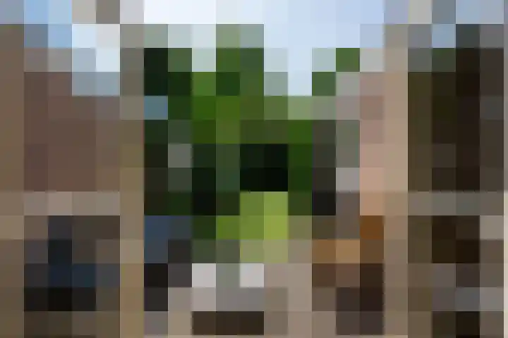 Teding van Berkhoutstraat 10 ZW Haarlem thumbnail 22