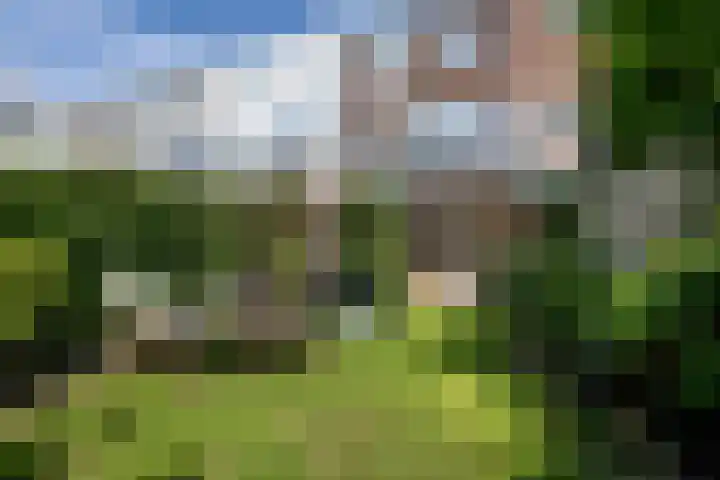 Teding van Berkhoutstraat 10 ZW Haarlem thumbnail 24