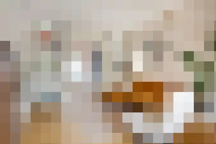 Teding van Berkhoutstraat 10 ZW Haarlem thumbnail 5