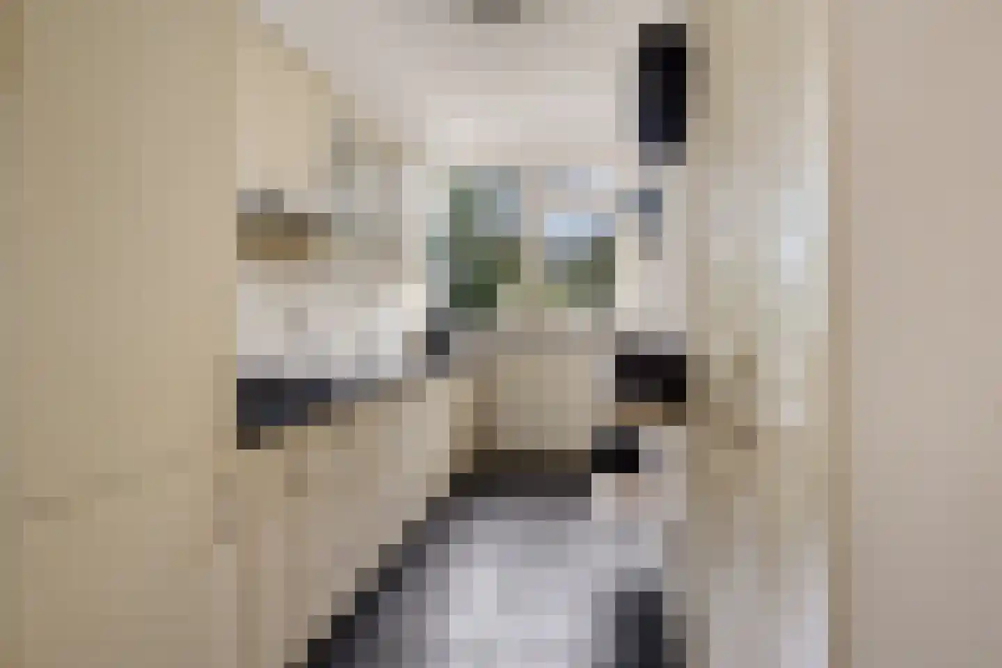 Teding van Berkhoutstraat 12 Baarn thumbnail 11