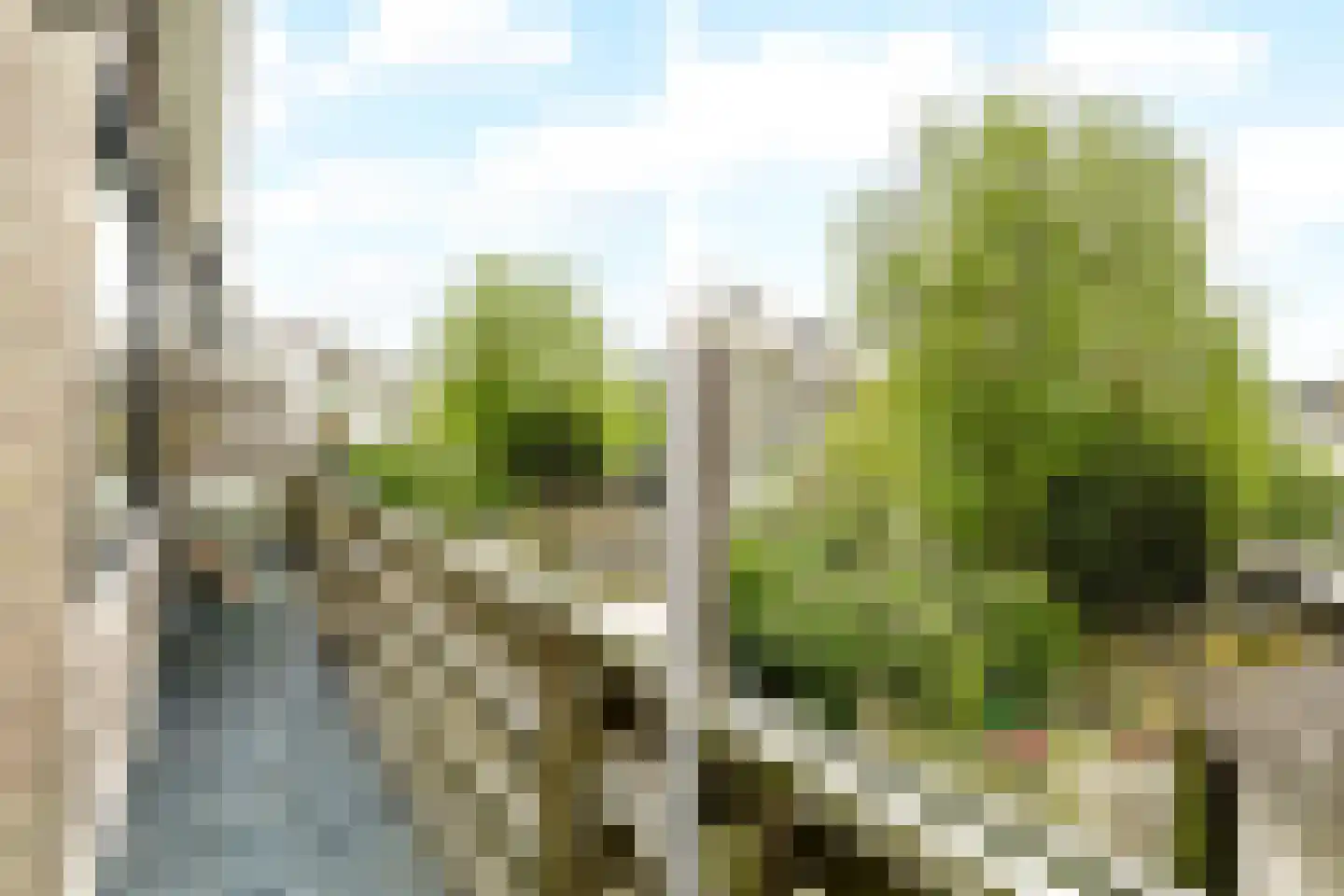 Teding van Berkhoutstraat 122 Haarlem thumbnail 20