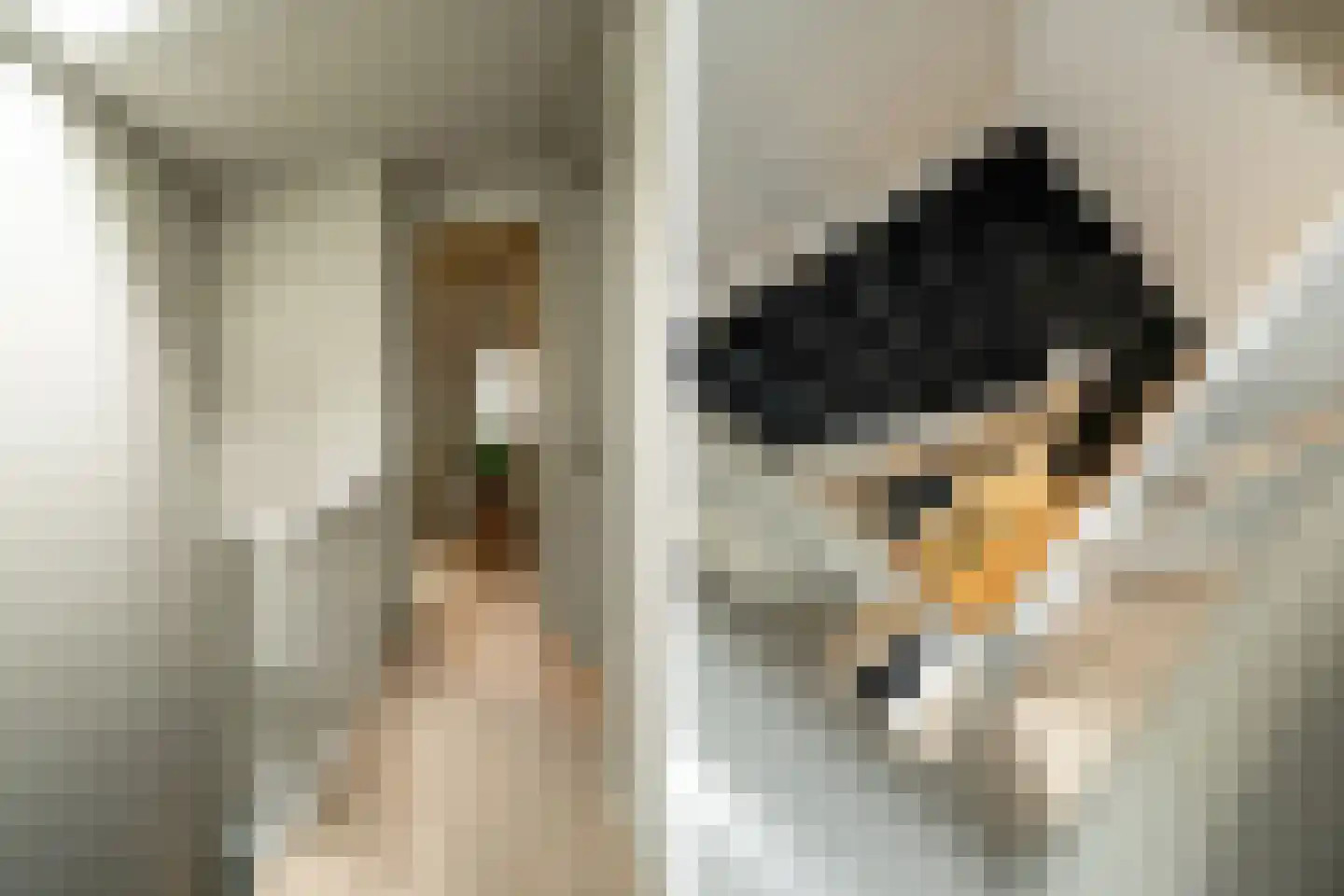 Teding van Berkhoutstraat 122 Haarlem thumbnail 21