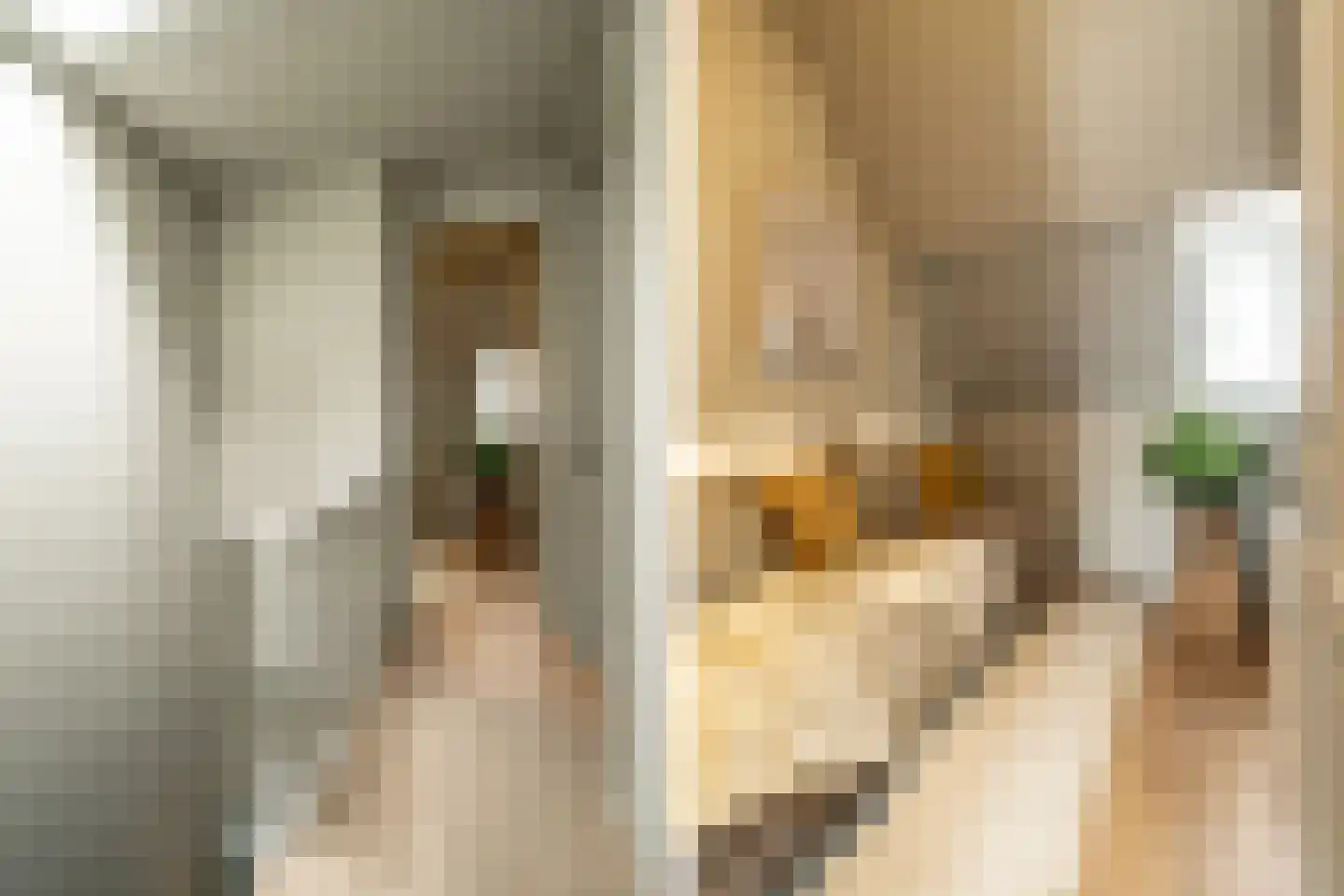 Teding van Berkhoutstraat 122 Haarlem thumbnail 22