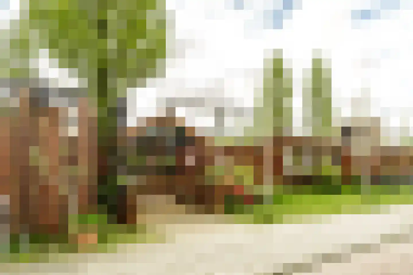 Teding van Berkhoutstraat 122 Haarlem thumbnail 31