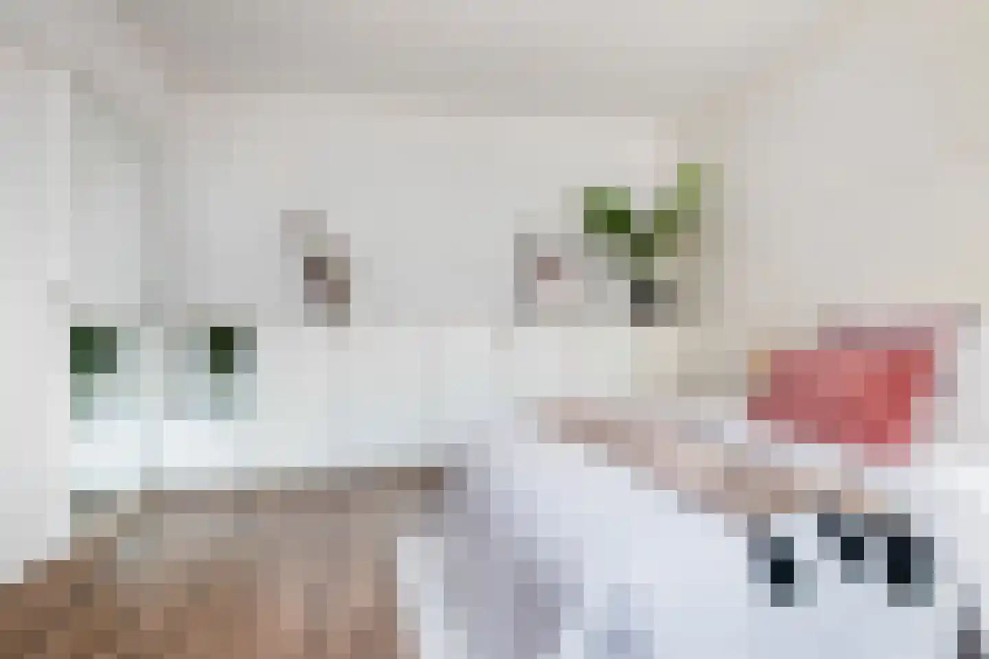 Teding van Berkhoutstraat 20 ZW Haarlem thumbnail 4