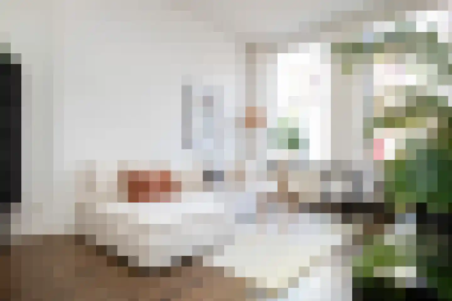 Teding van Berkhoutstraat 20 ZW Haarlem thumbnail 7