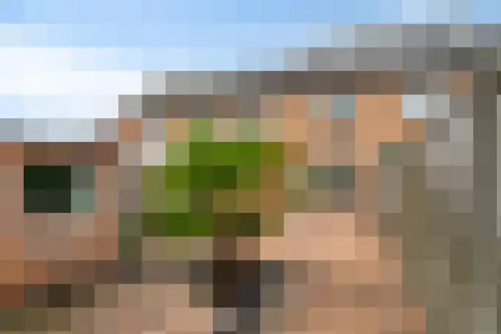 Teding van Berkhoutstraat 21 Kampen thumbnail 36