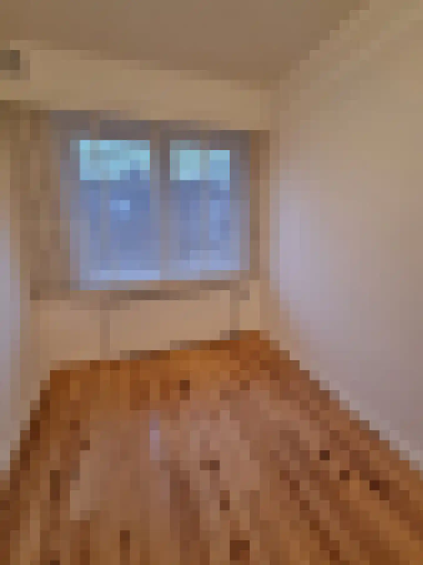 Teding van Berkhoutstraat 23 II Haarlem thumbnail 19