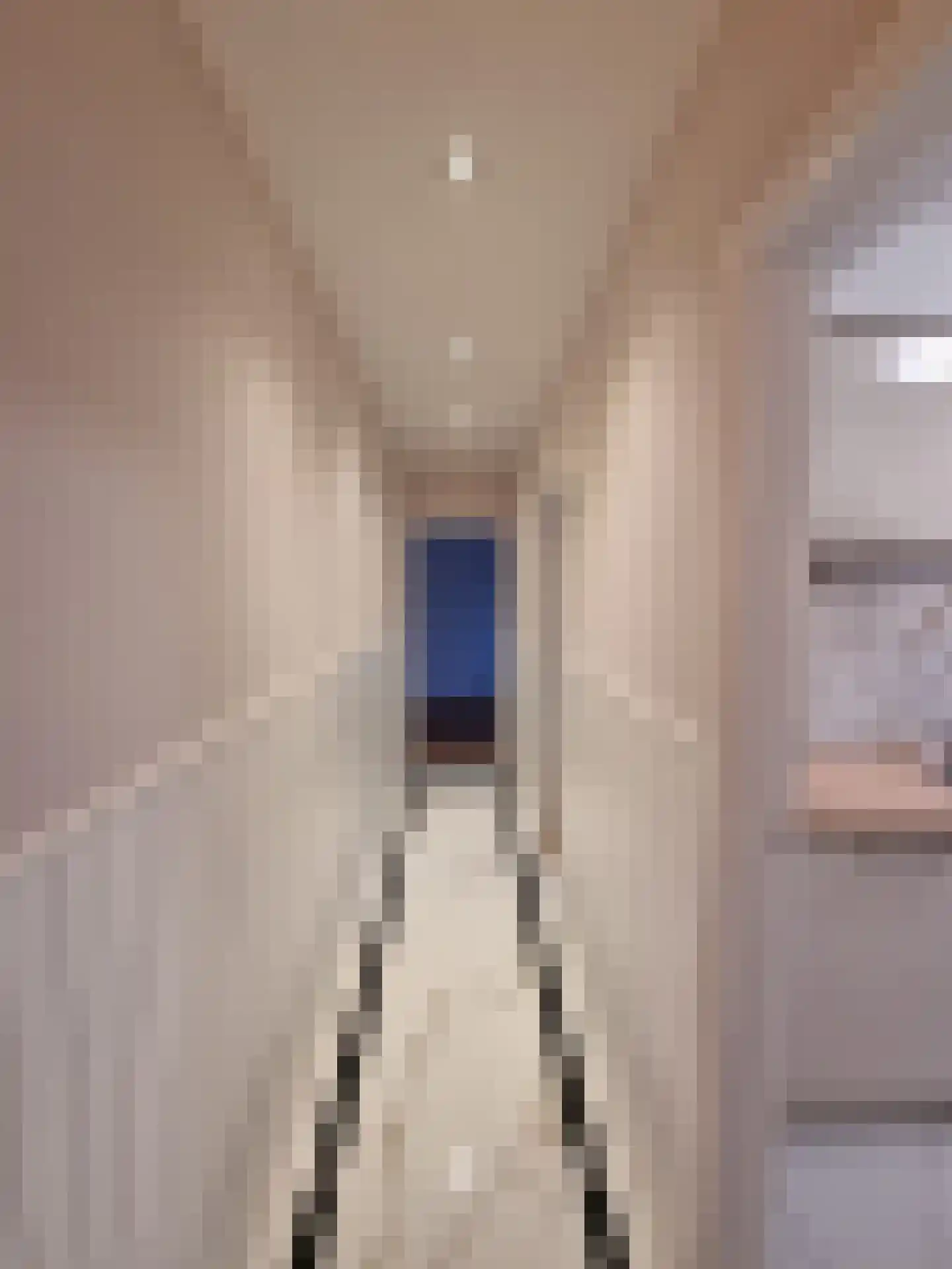 Teding van Berkhoutstraat 23 II Haarlem thumbnail 20