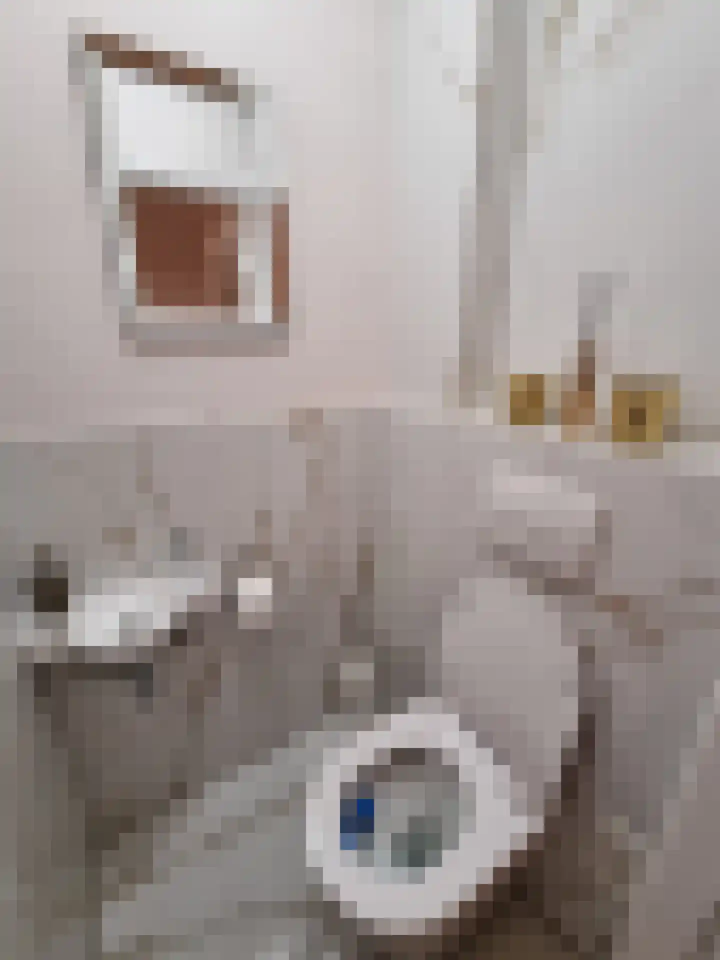 Teding van Berkhoutstraat 23 II Haarlem thumbnail 39