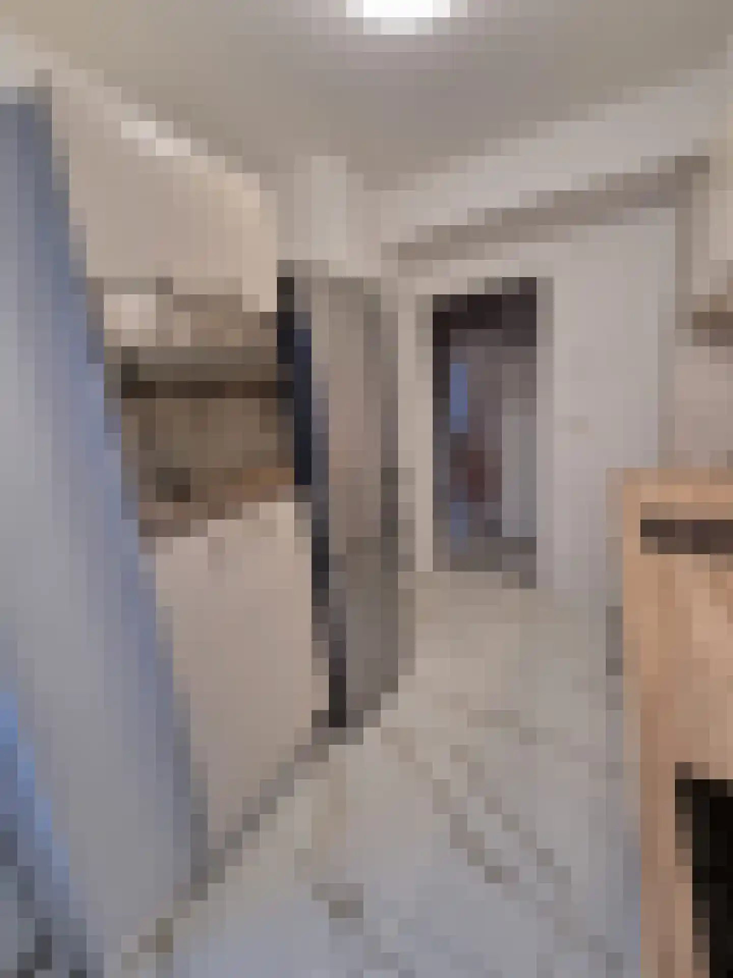 Teding van Berkhoutstraat 23 II Haarlem thumbnail 41