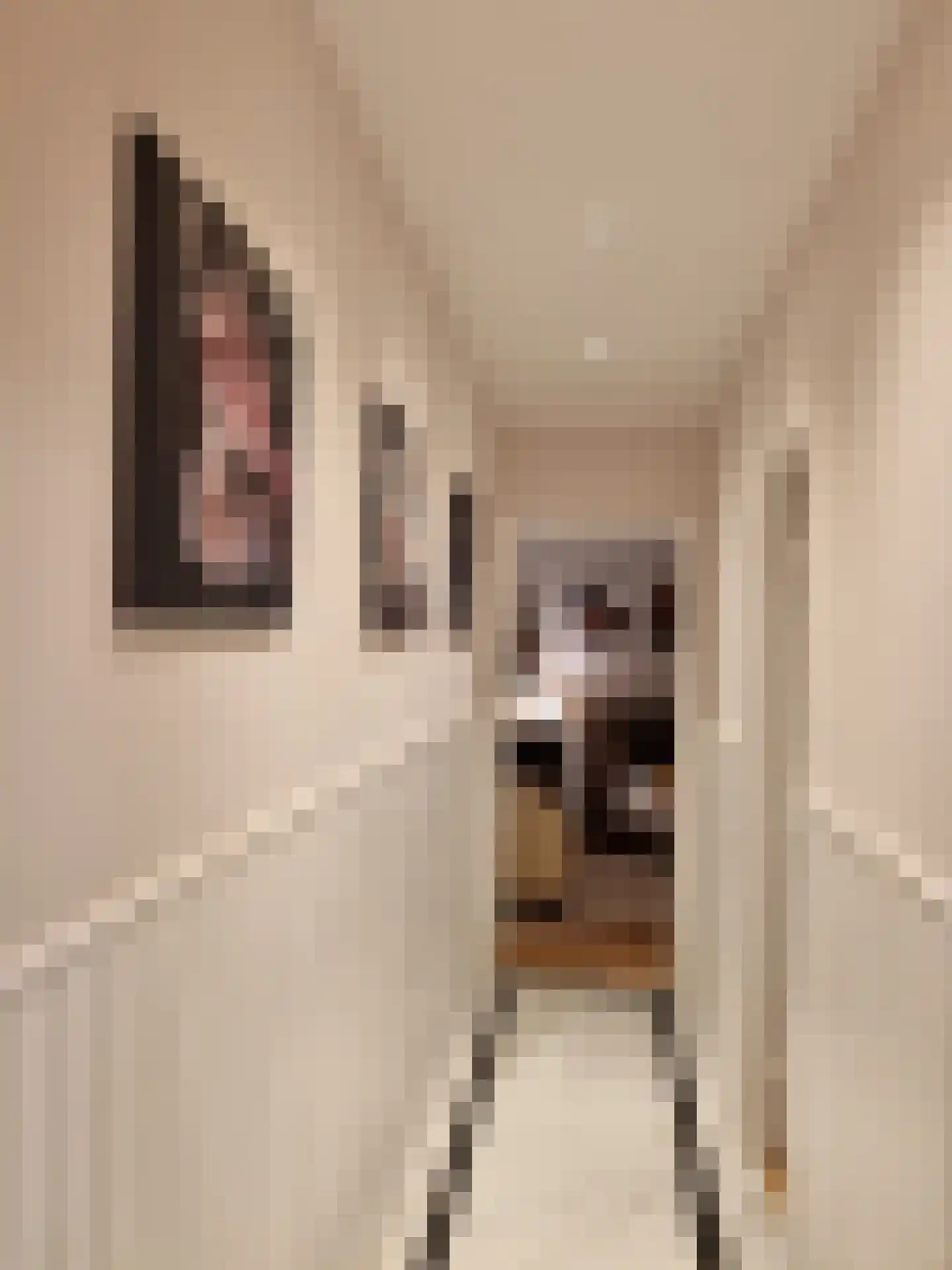 Teding van Berkhoutstraat 23 II Haarlem thumbnail 5
