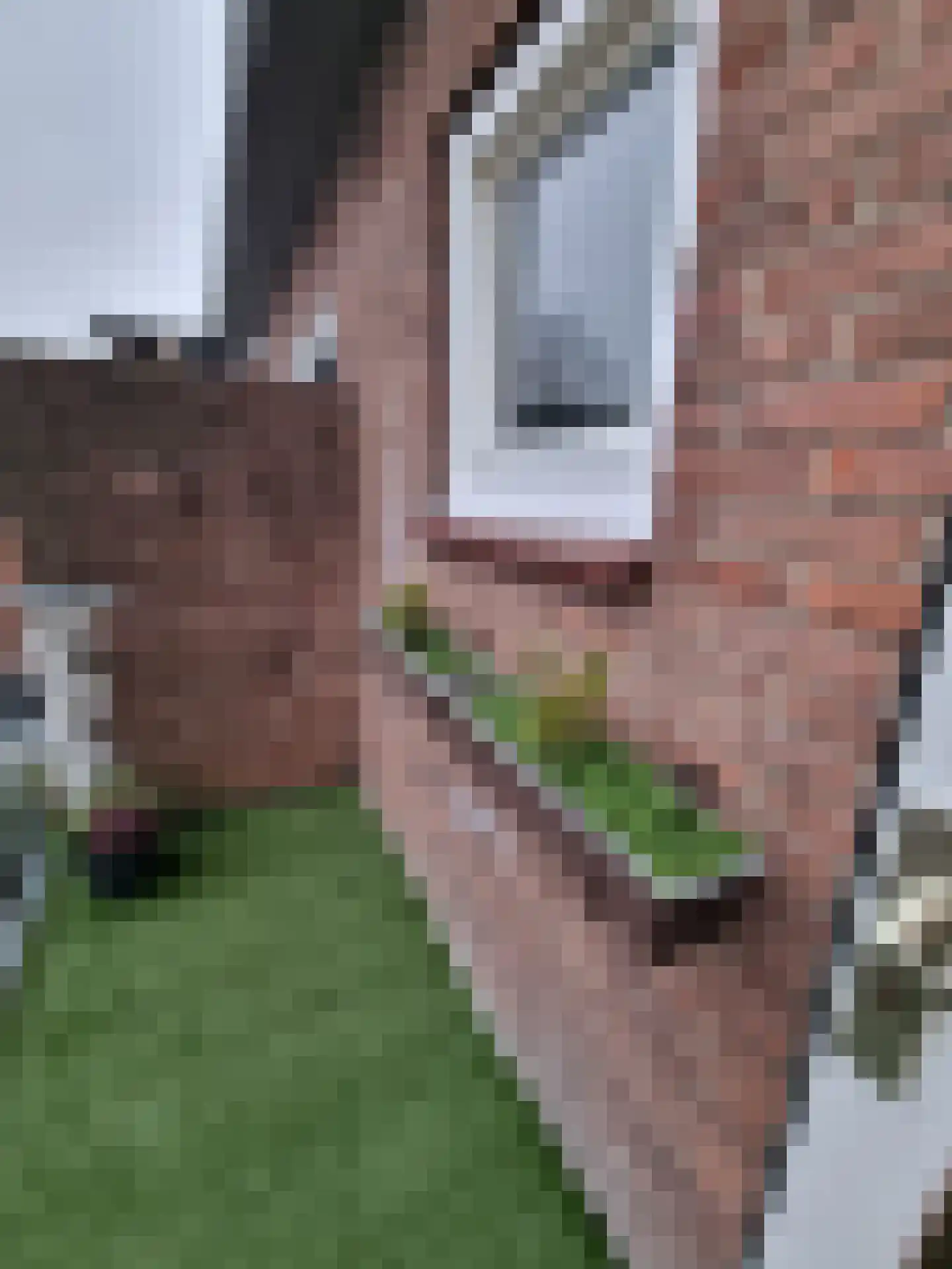 Teding van Berkhoutstraat 23 II Haarlem thumbnail 65