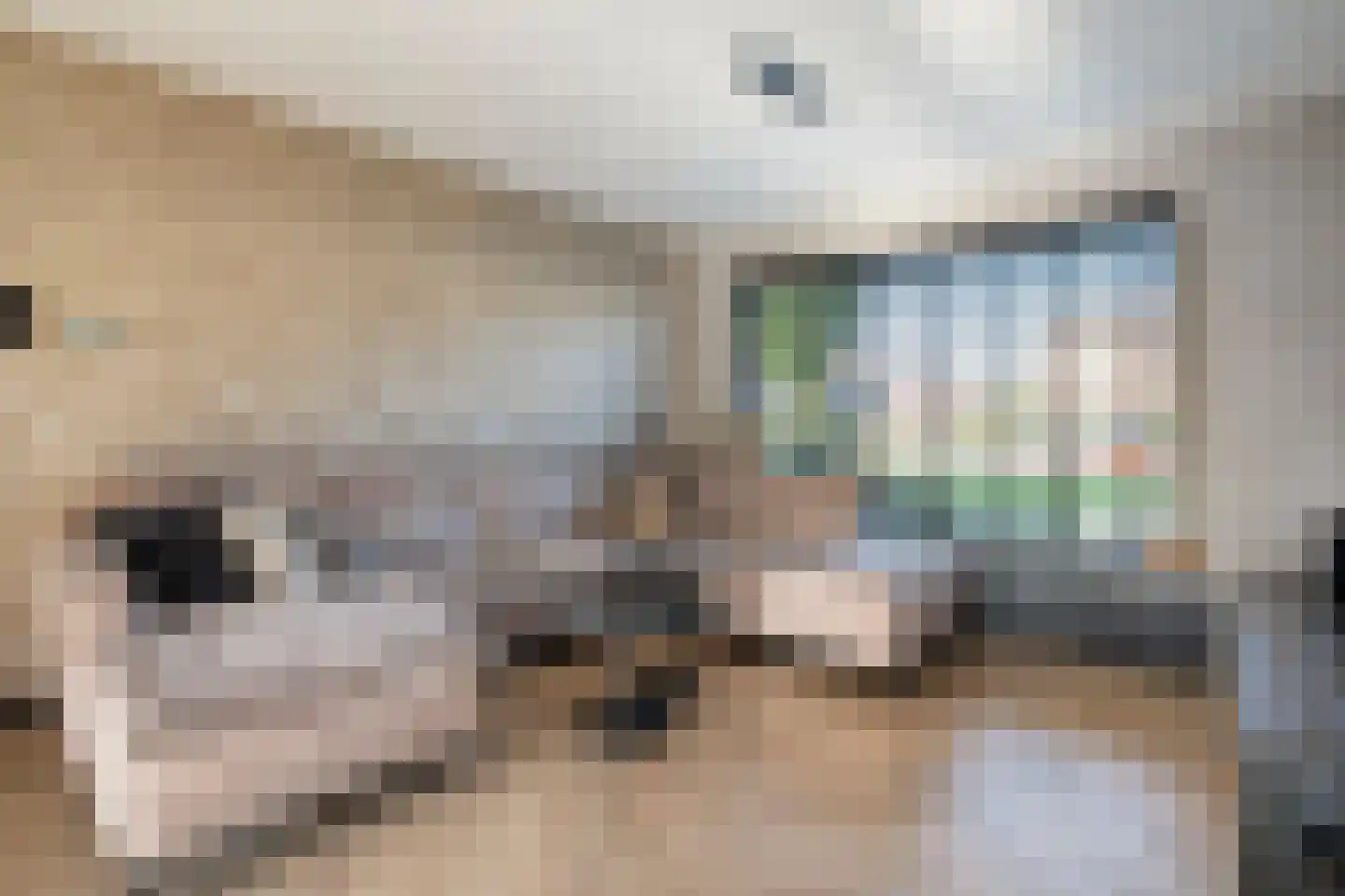 Teding van Berkhoutstraat 25 Kampen thumbnail 8
