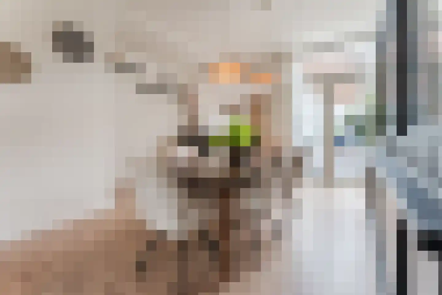 Teding van Berkhoutstraat 34 Haarlem thumbnail 31