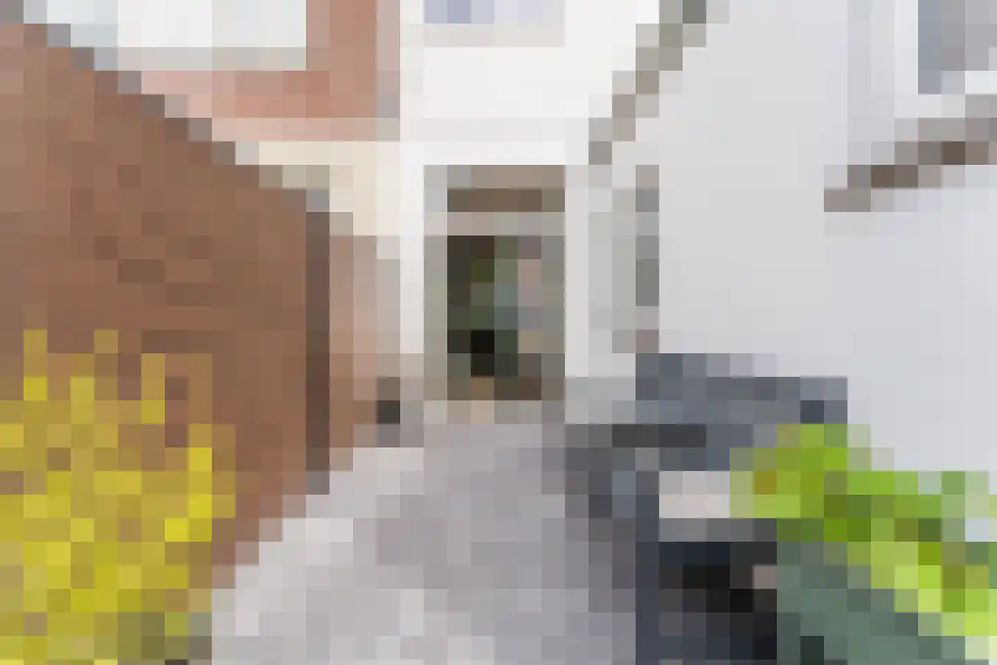 Teding van Berkhoutstraat 34 Haarlem thumbnail 59