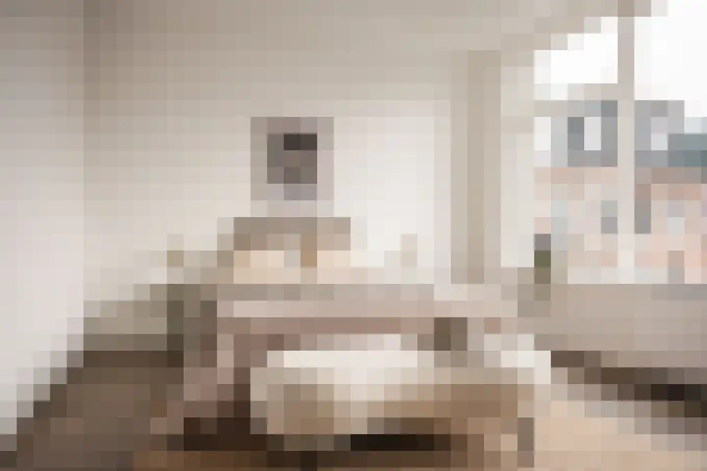 Teding van Berkhoutstraat 36 Haarlem thumbnail 4
