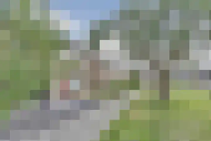 Teding van Berkhoutstraat 37 Kampen thumbnail 4