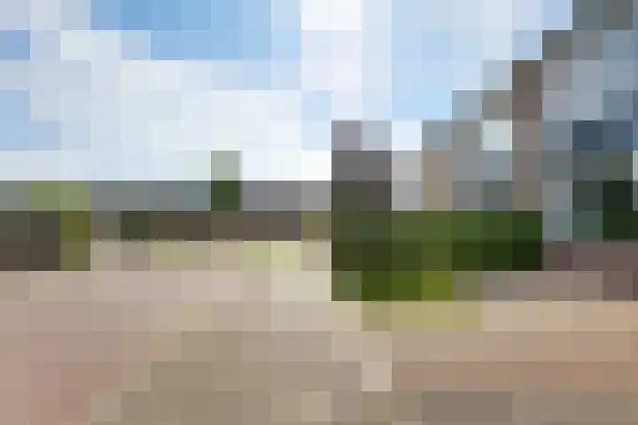 Teding van Berkhoutstraat 5 Kampen thumbnail 9