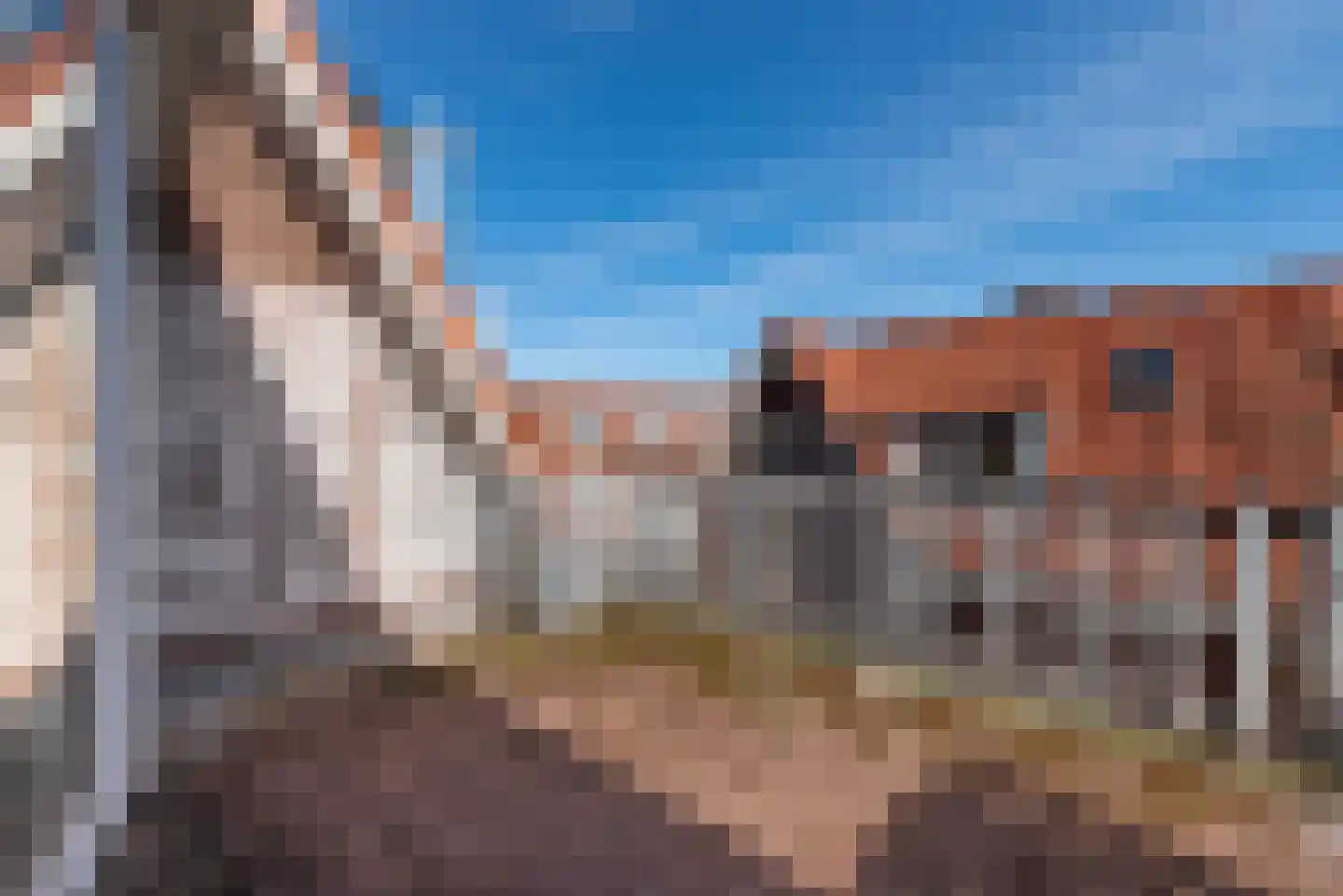 Teding van Berkhoutstraat 73 Haarlem thumbnail 19
