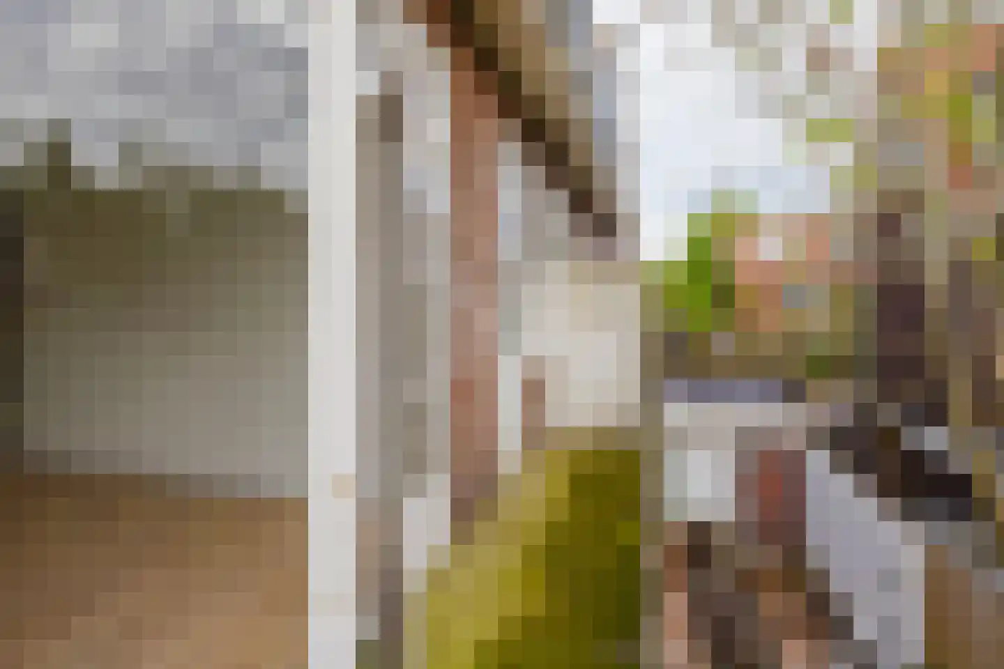 Teding van Berkhoutstraat 75 Haarlem thumbnail 11