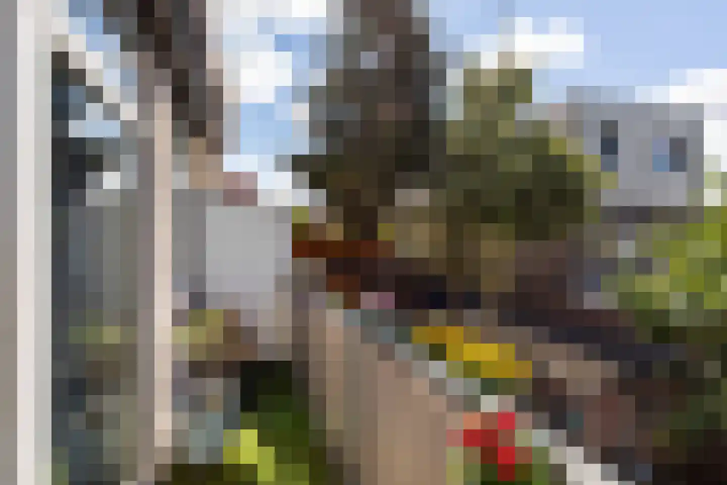 Teding van Berkhoutstraat 82 Haarlem thumbnail 6