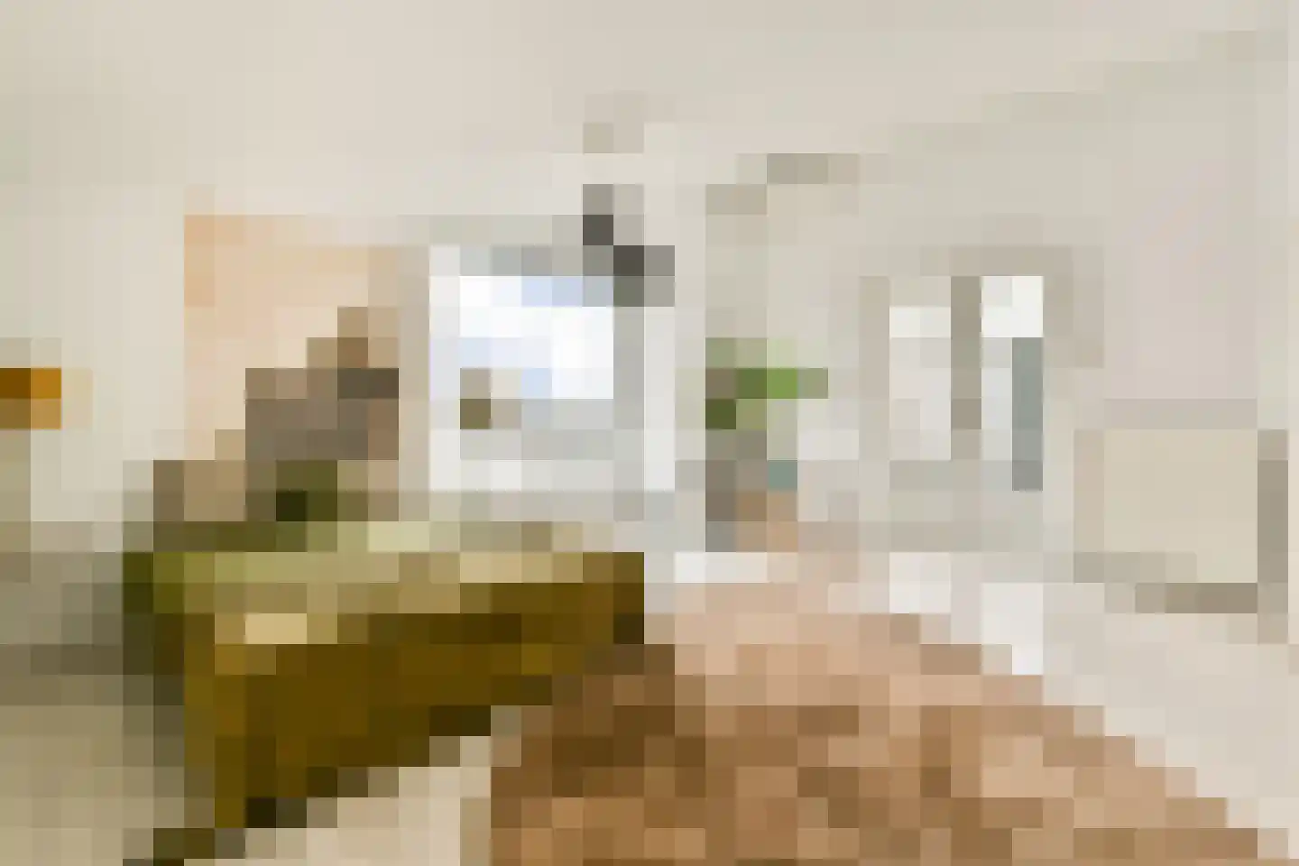 Teding van Berkhoutweg 36 Halfweg thumbnail 30