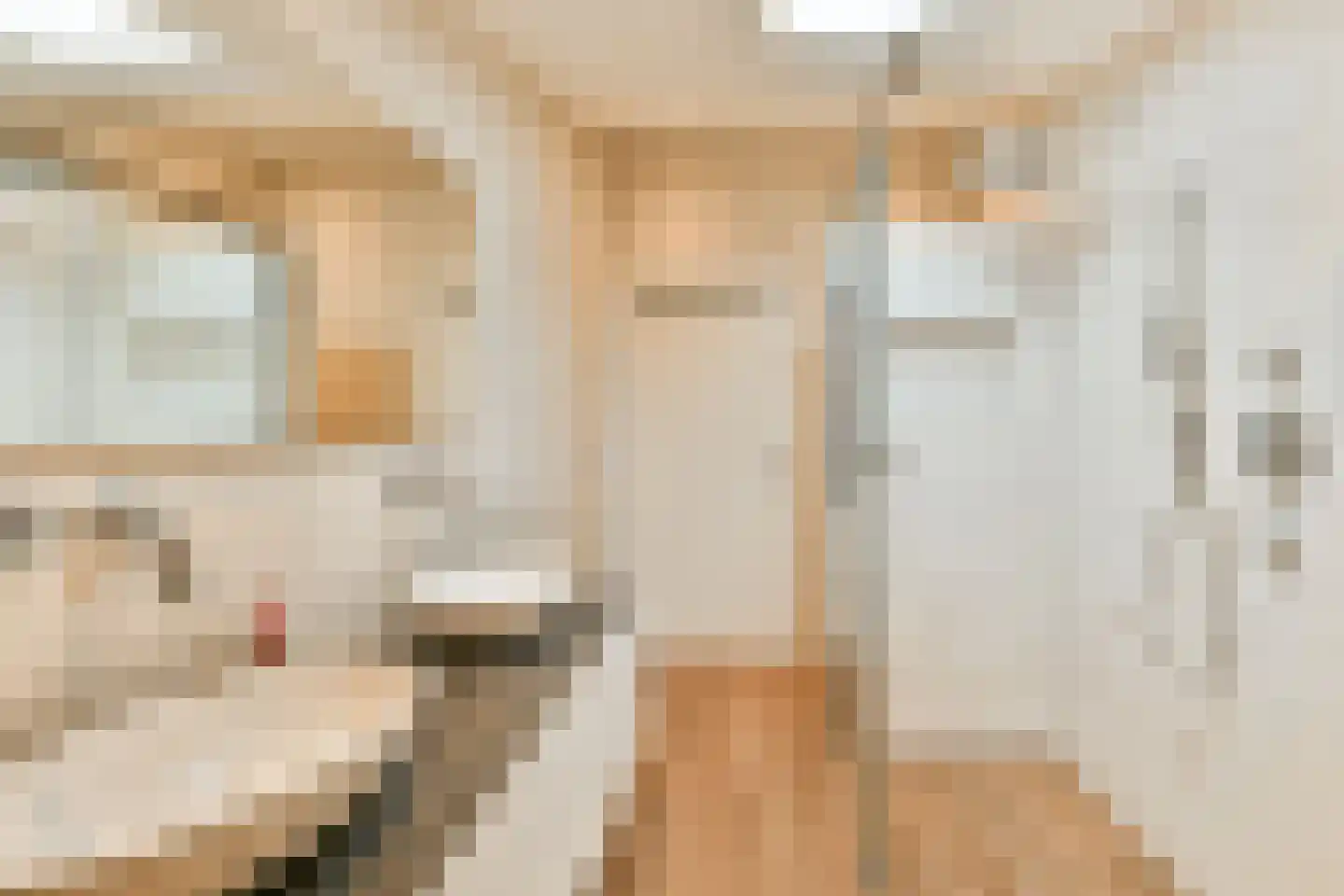 Teding van Berkhoutweg 36 Halfweg thumbnail 35