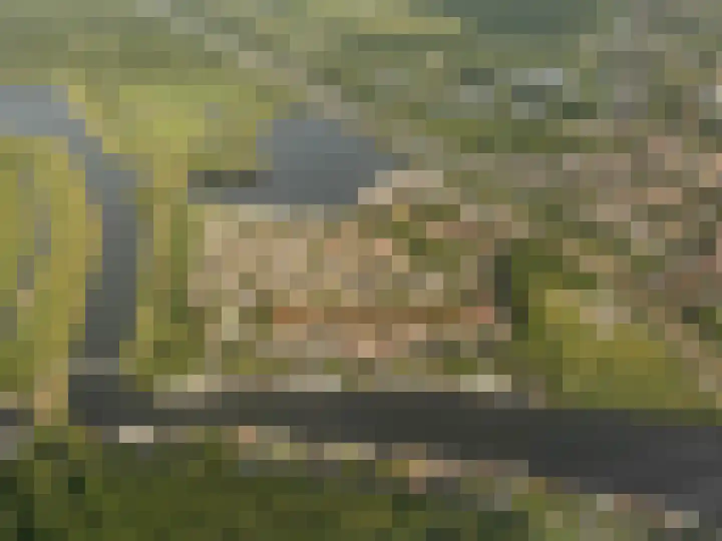 Teding van Berkhoutweg 36 Halfweg thumbnail 45