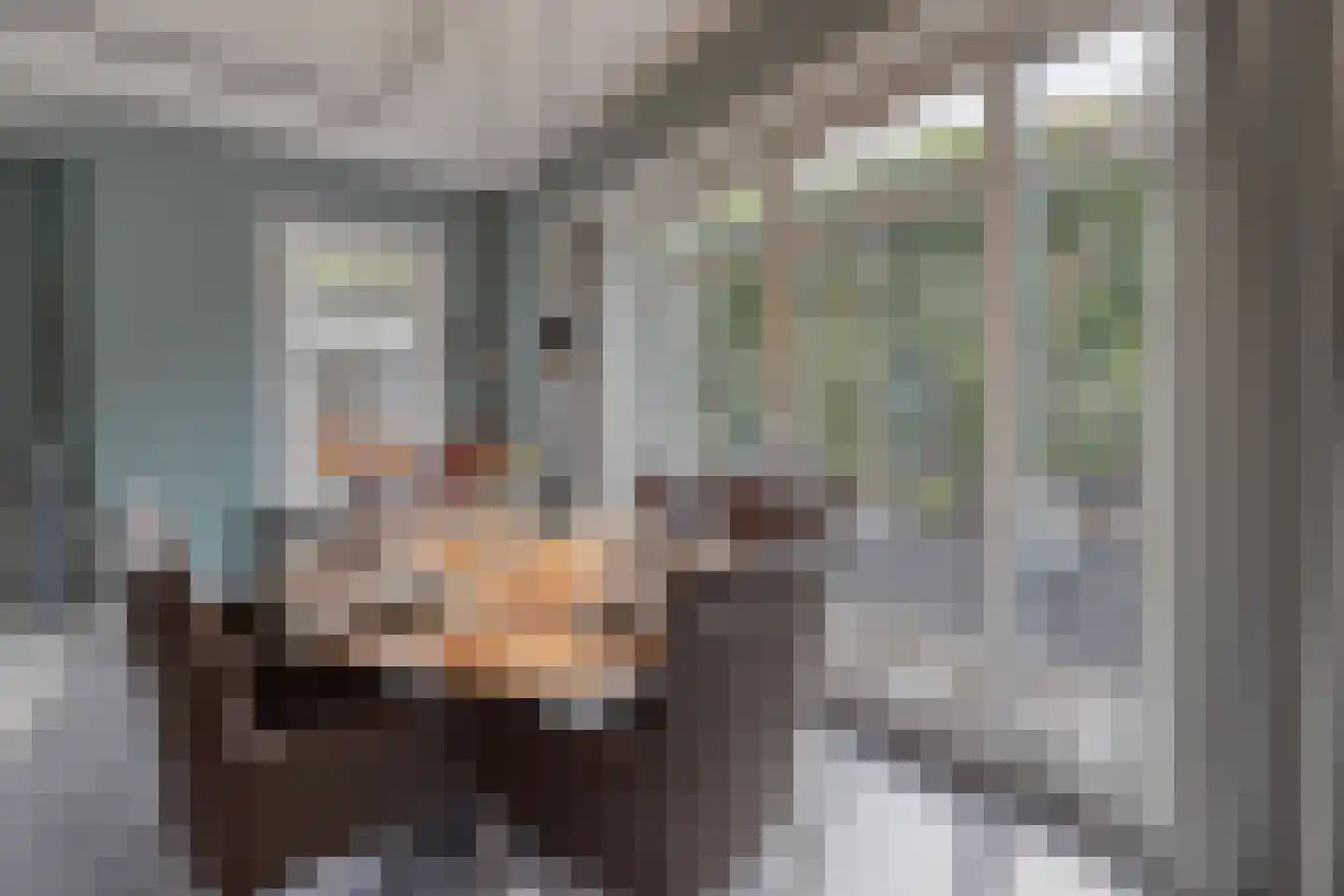 Tedingerbroekweg 17 Nootdorp thumbnail 9