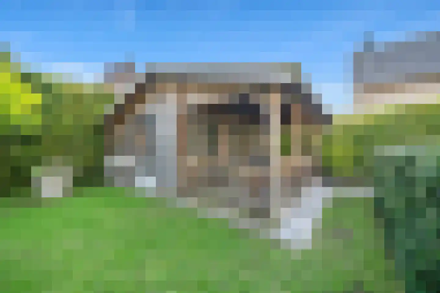 Tedingerbroekweg 25 Nootdorp thumbnail 32