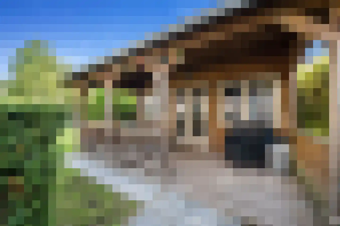 Tedingerbroekweg 25 Nootdorp thumbnail 5