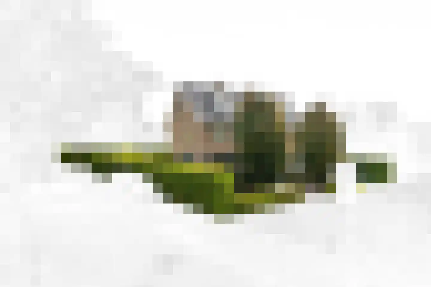 Tedingerbroekweg 25 Nootdorp thumbnail 75